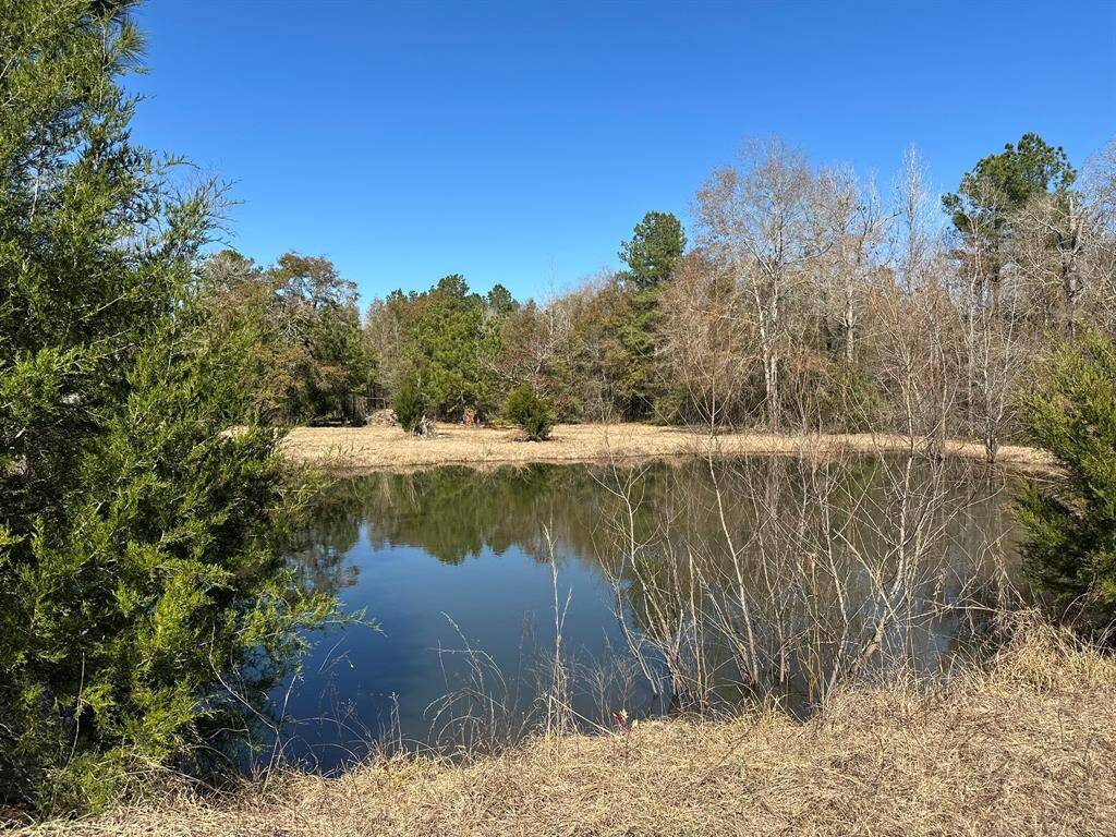 Pond Near Entrance