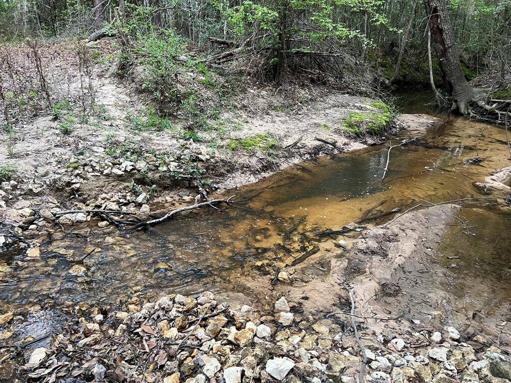 Front Stream Crossing