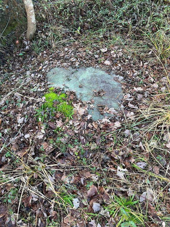Septic Tank