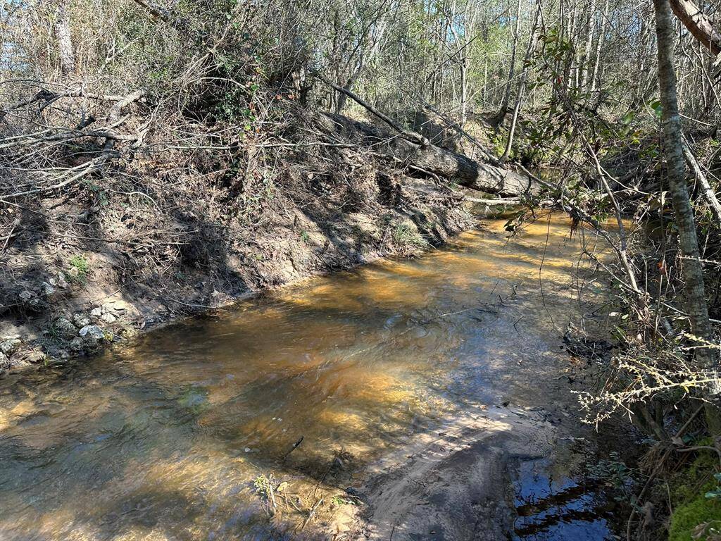 Stream