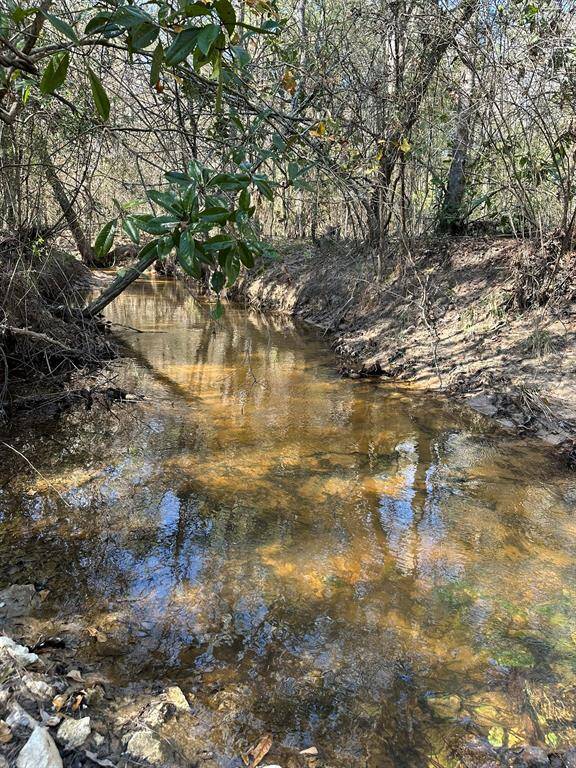 Stream