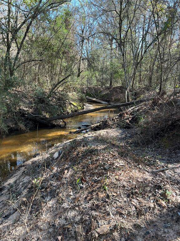 Stream at Camp Bigfoot