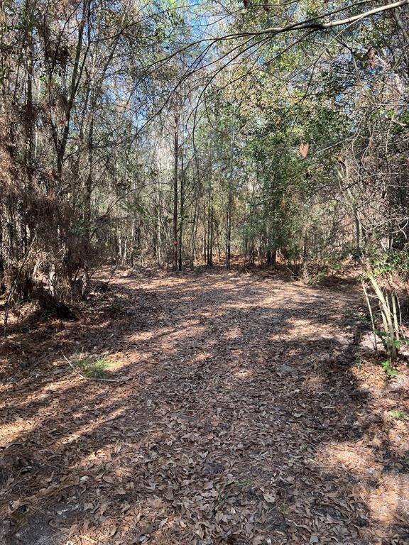 Trail