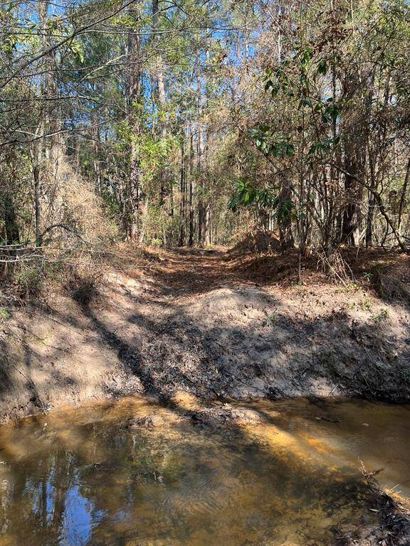 Back Stream Trail Crossing