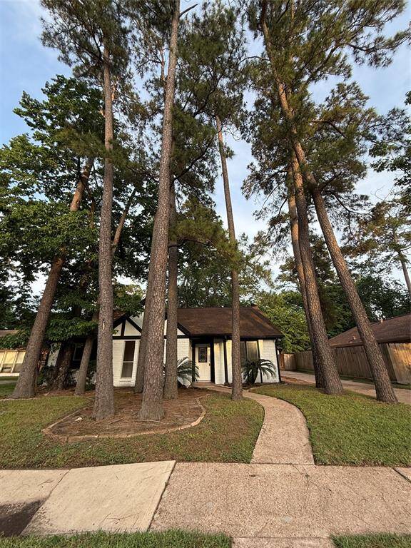 Enjoy the 50ft tall pine trees.