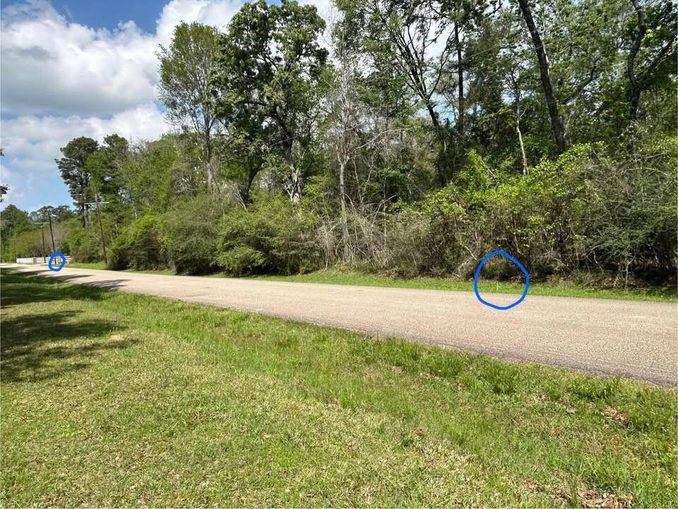 Frontage is directly across the from the state forest!