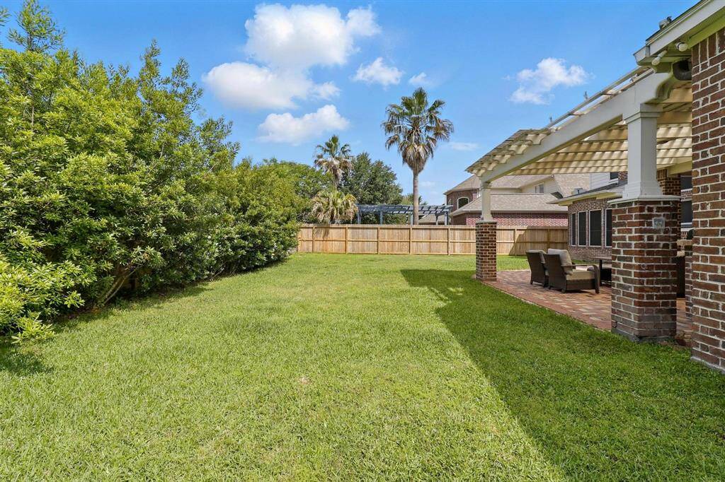 Backyard overflowing with life and vibrant greenery