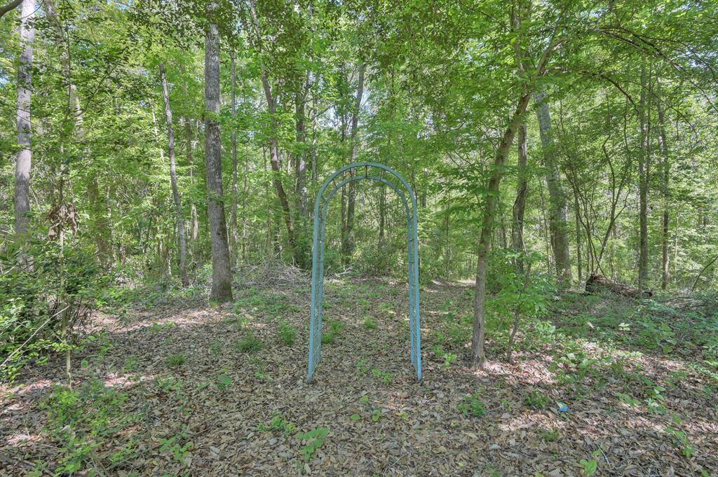 Entryway to Peach creek and your imagination.