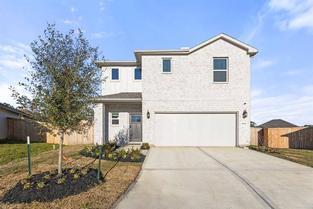 Welcome 1906 TEXAS LIVE OAK