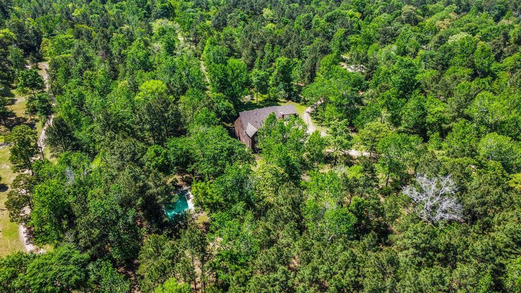 Nestled in the trees