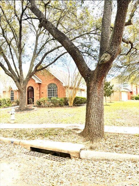 Side view of large corner lot
