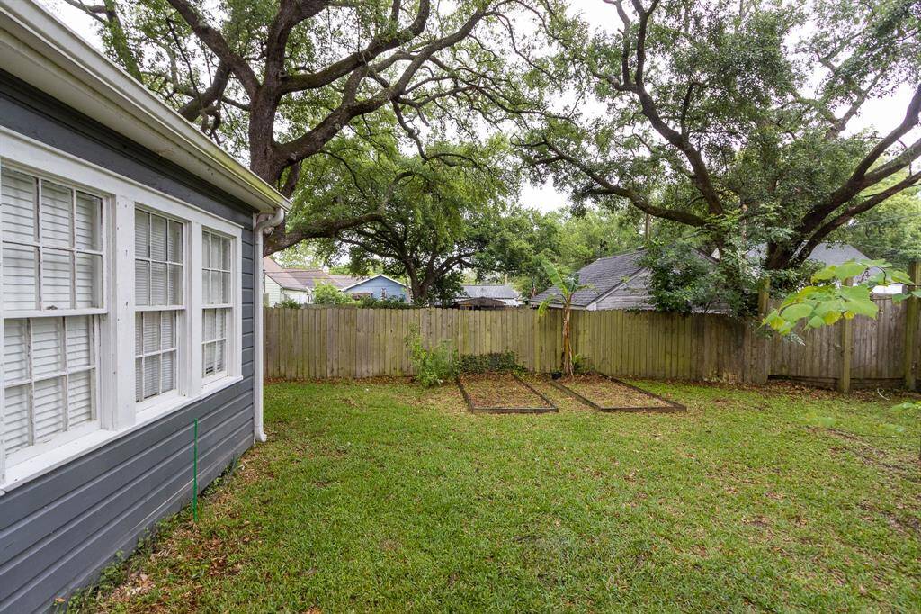 Large Backyard
