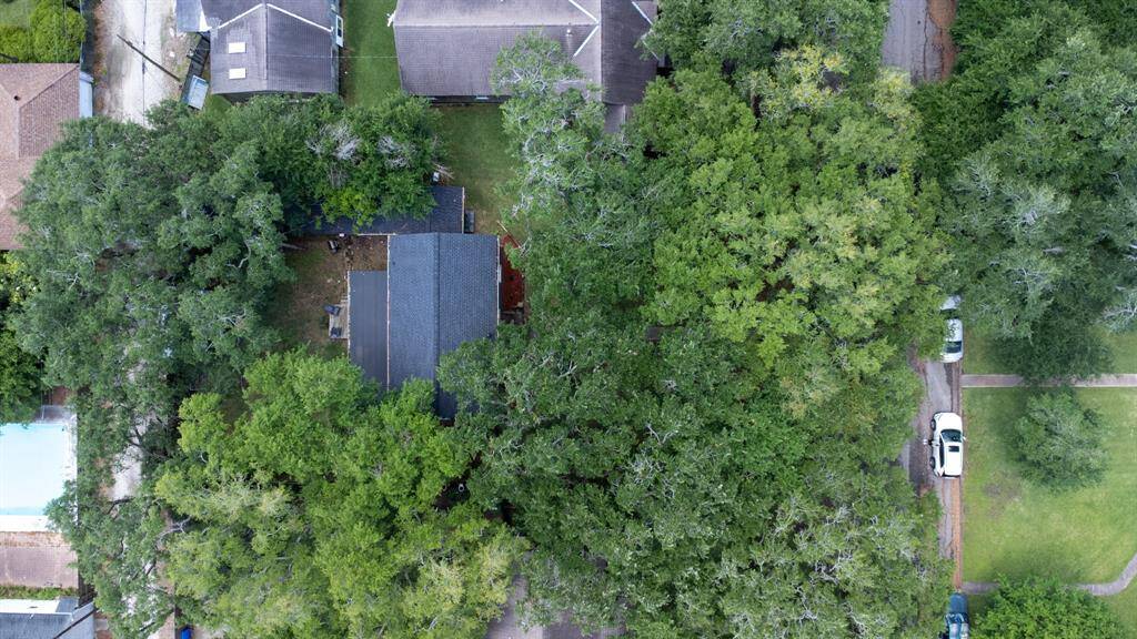 Brand New Roof