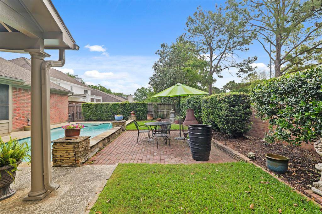 Backyard green space view