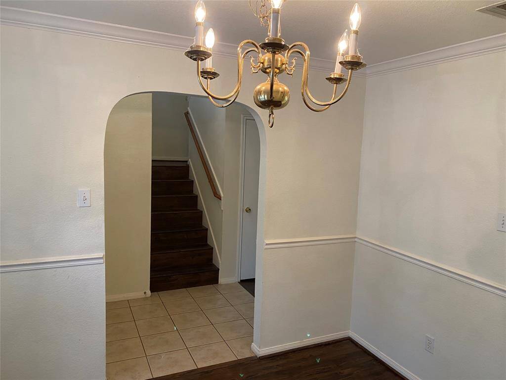 9.DEN AREA PIC2