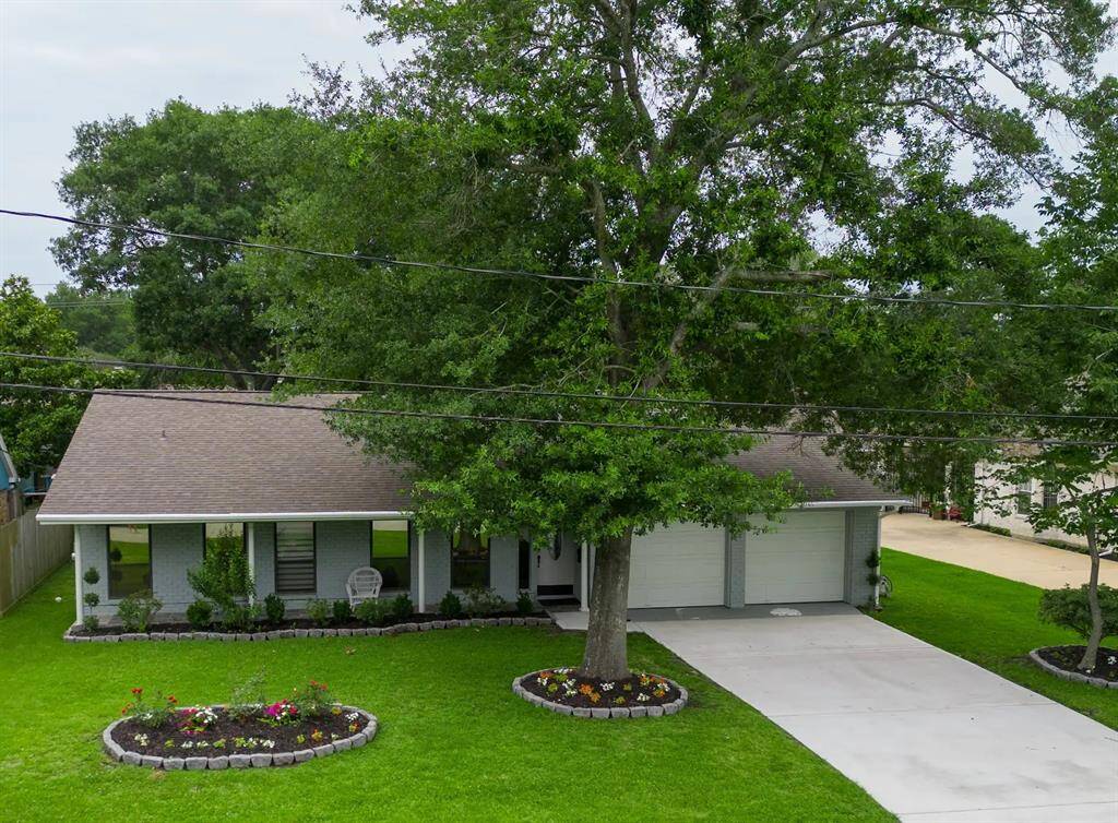 Shade Trees