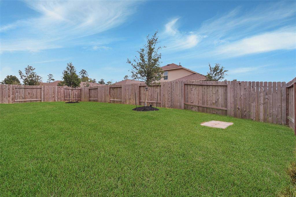 *Grass has been virtually enhanced.