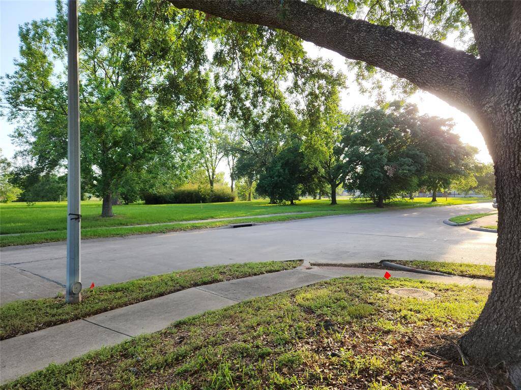 Views of the green space across from the home on  Ashwyne