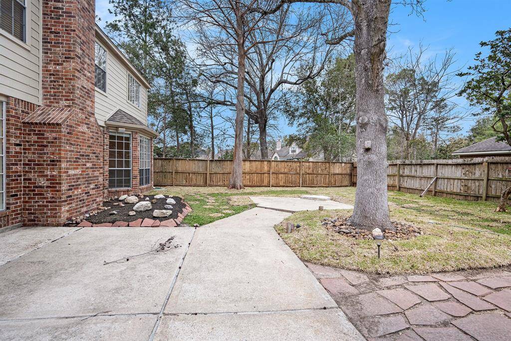 Spacious Backyard
