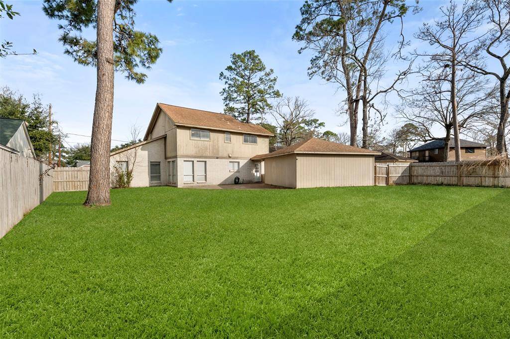 Backyard space