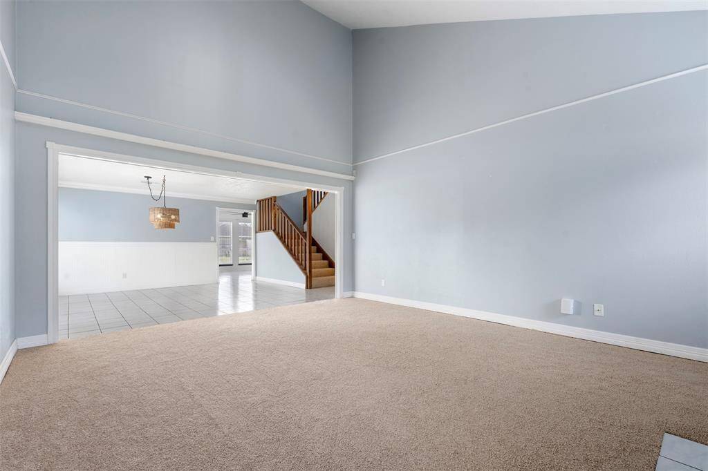 Brand new carpet