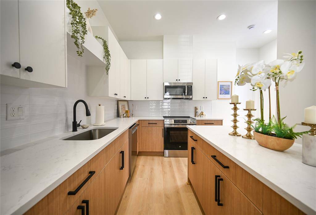Contemporary kitchen with modern Euro-style cabinets