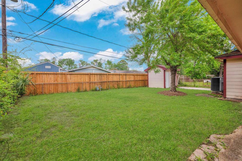 Backyard