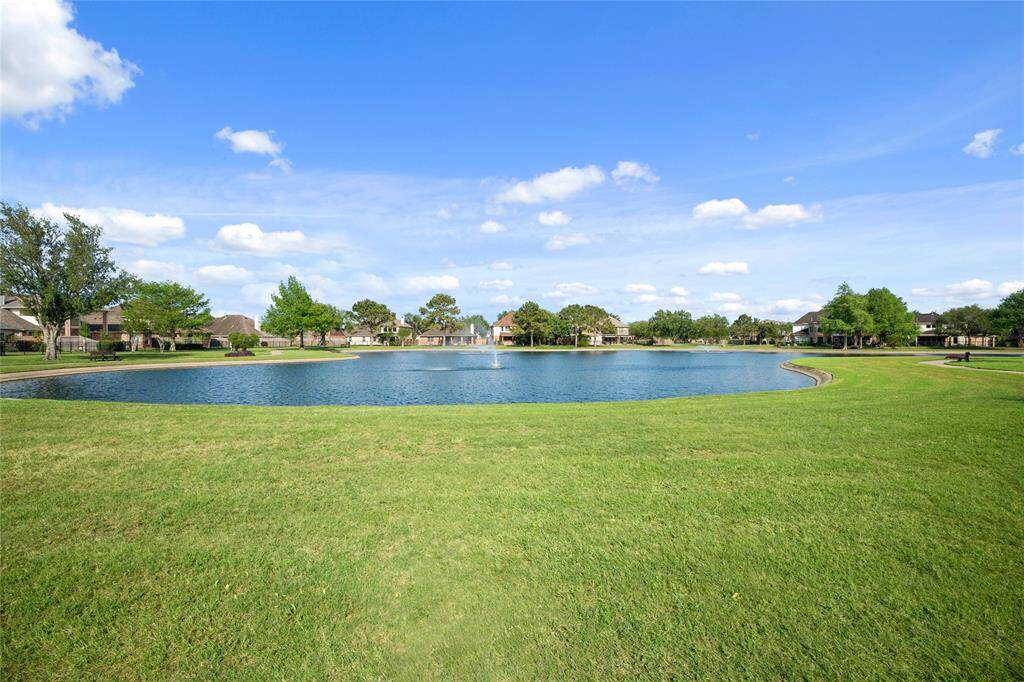 Neighborhood pond
