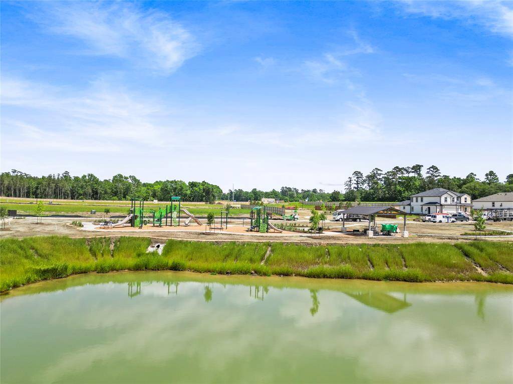 Waterfront Greenspace