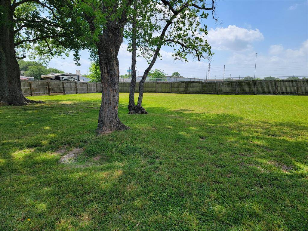 Large back yard.