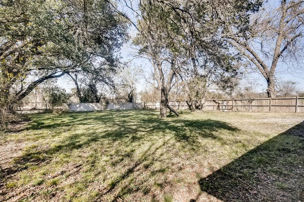 Another view of the back yard.