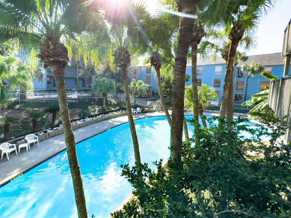 Oasis!