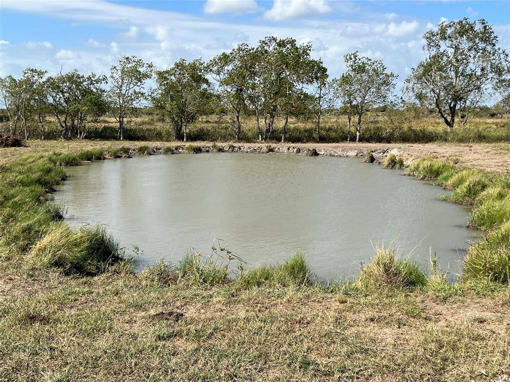 Pond in back, near center of the property.