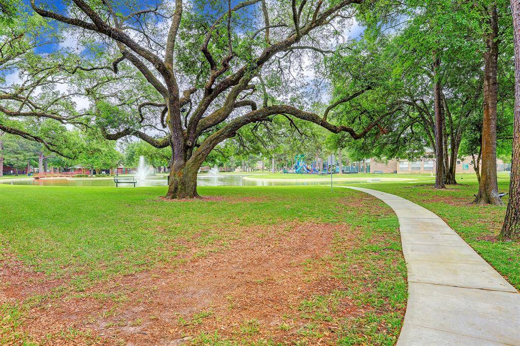Centuries old oaks behind the house