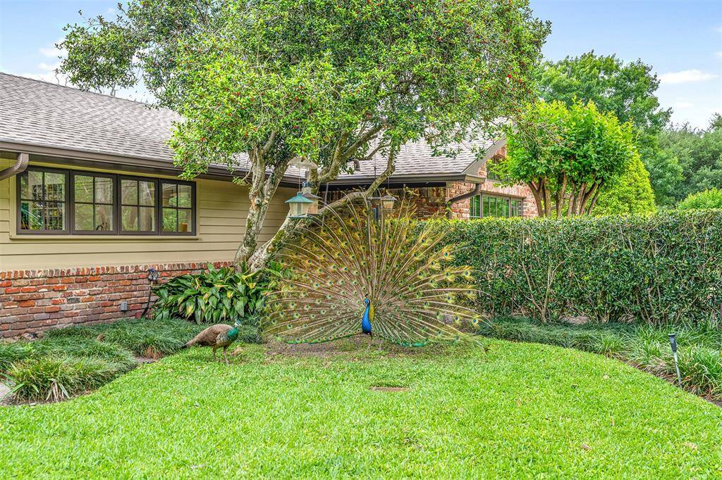 Property Image 48