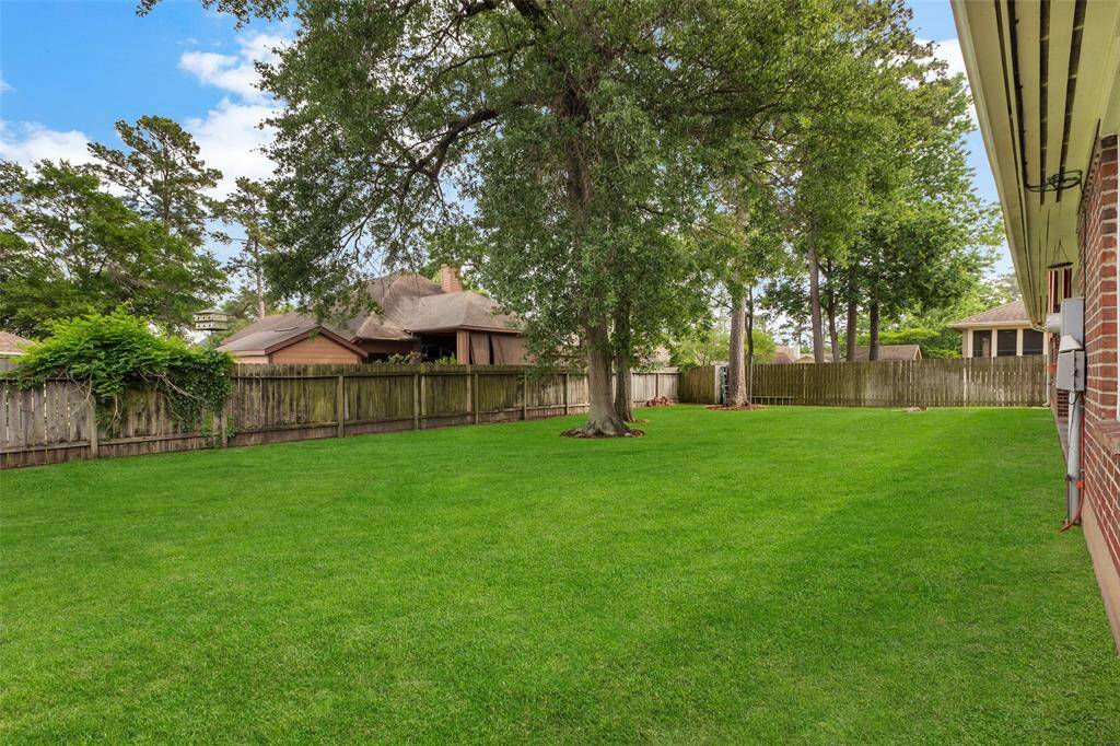 Back yard