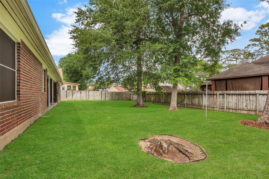 Back yard