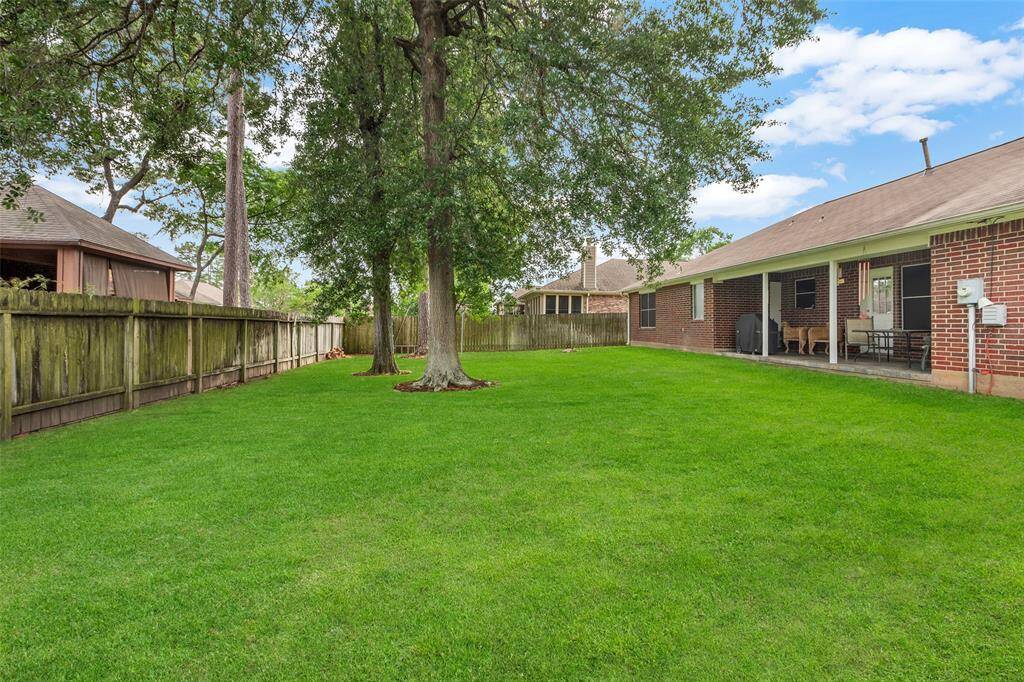 Back yard
