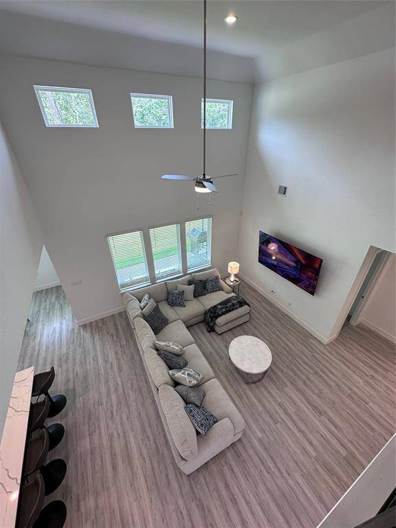 Double-height Ceilings