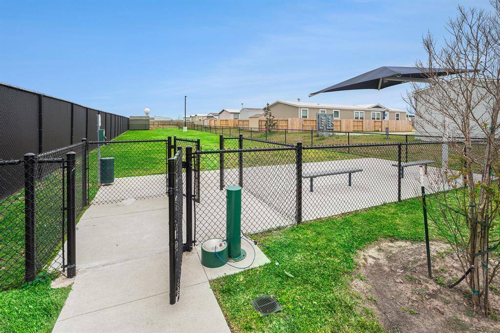 Dog Park