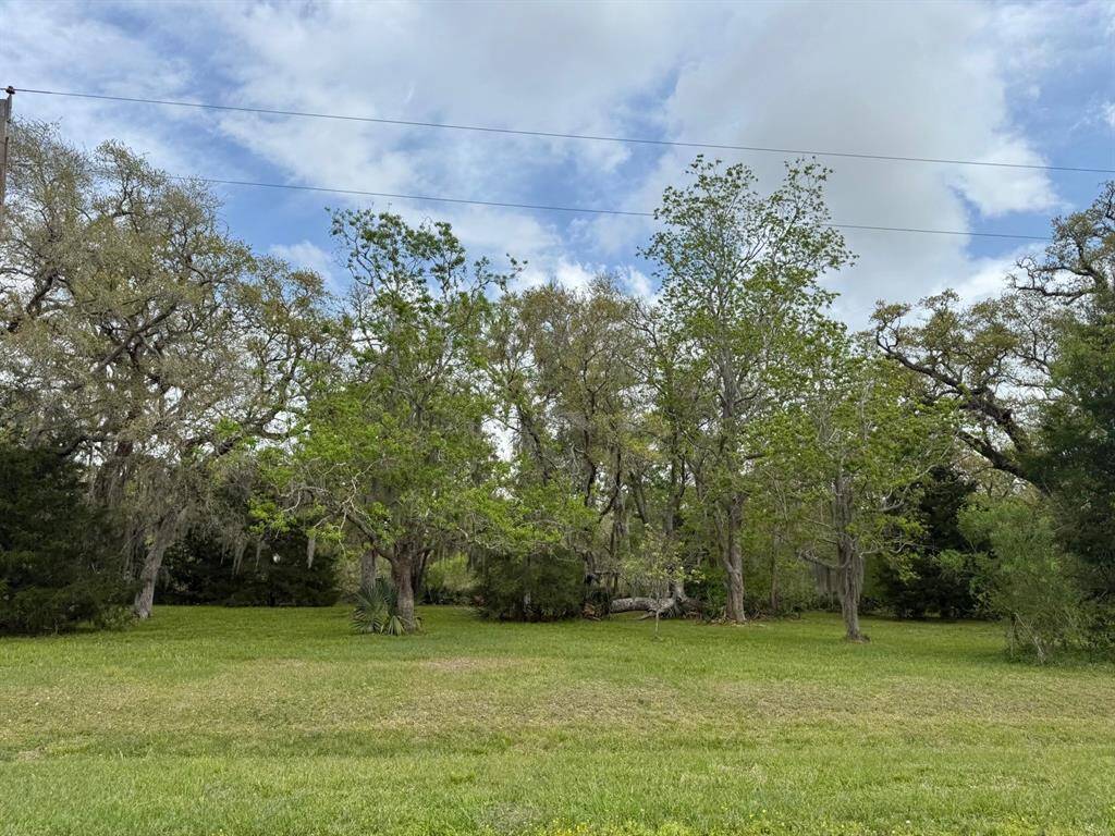 Property Image 42