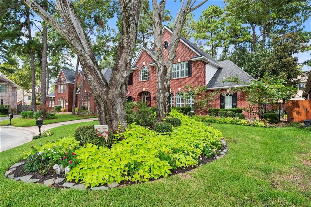 Well-kept lawn
