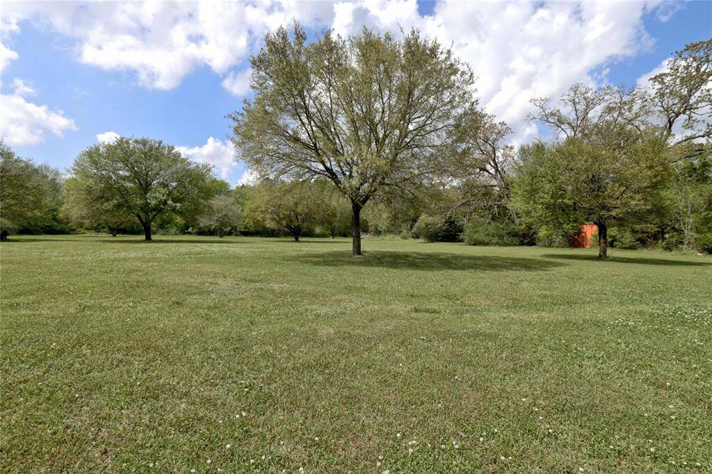 Backyard area