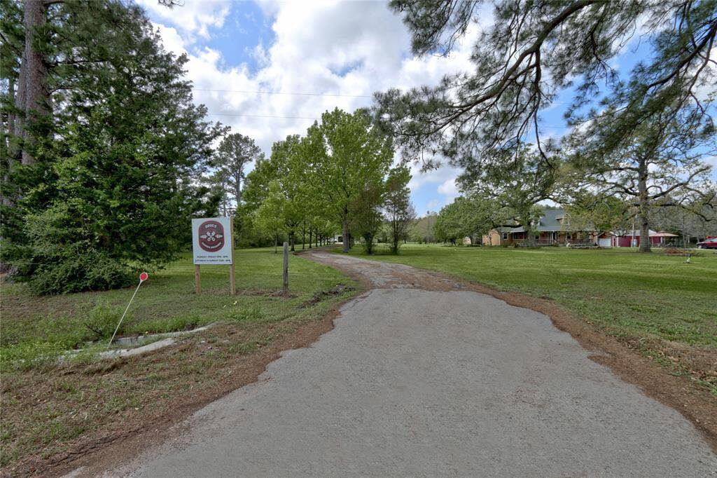 Tree lined driveway leading back to home and shop