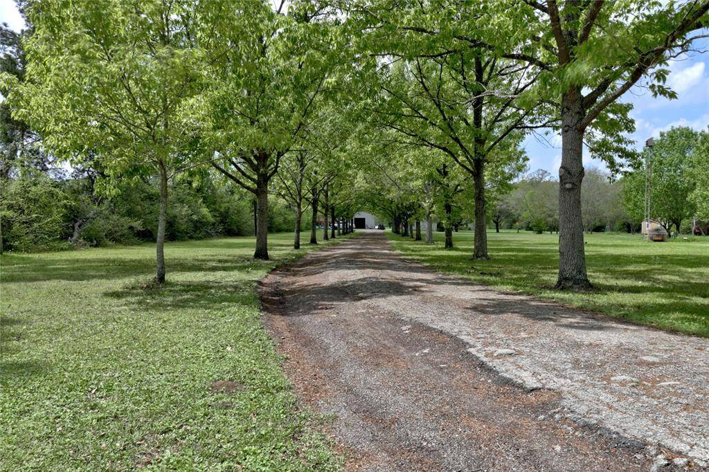 Tree lined driveway leading back to home and shop