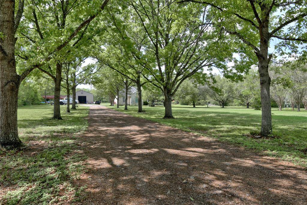 Tree lined driveway leading back to home and shop
