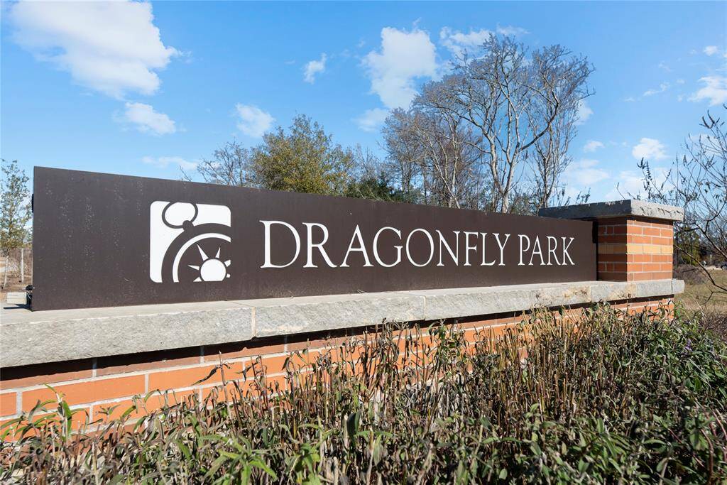 Visit Dragonfly Park and discover how many flying insects you can spot among the lush, beautiful plants carefully chosen to attract them.