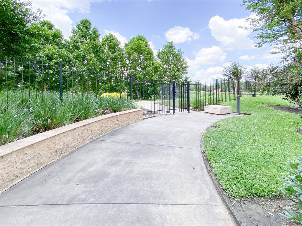 Walking trail leads to the bayou