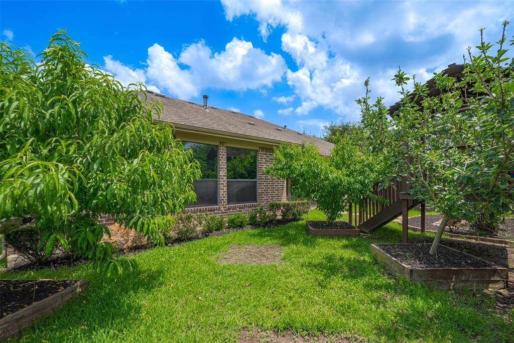 Spacious backyard with manicured landscaping, SO MANY established fruit trees! Your own oasis!