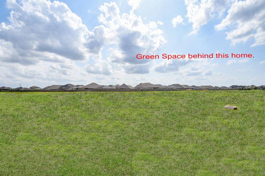 NO BACKYARD NEIGHBORS! This is the Green Space behind this Home.